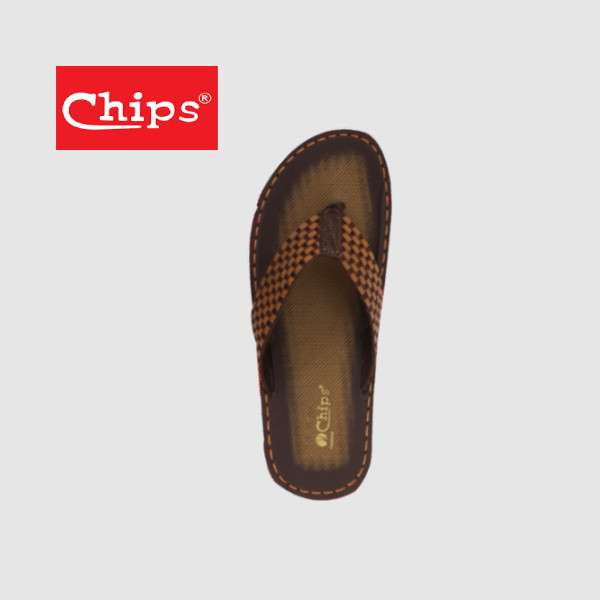 CHIPS 602